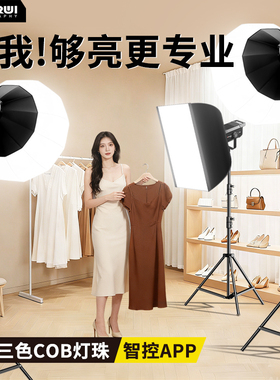 300W直播补光灯主播专用直播间专业拍摄打光COB摄影灯LED美颜球形拍照室内拍视频深口影棚服装影视APP常亮灯