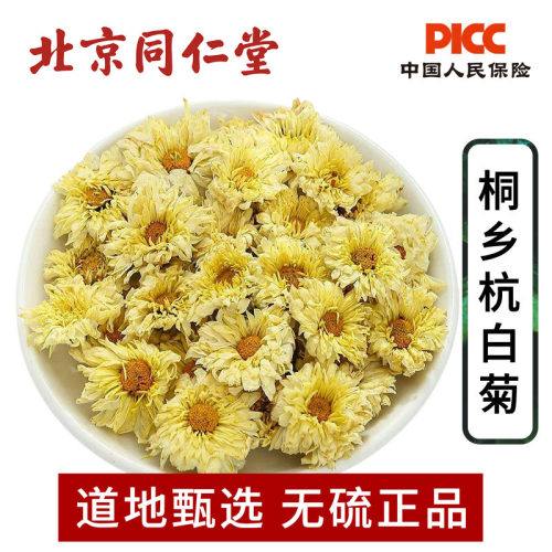 杭白菊特级正品500g浙江桐乡