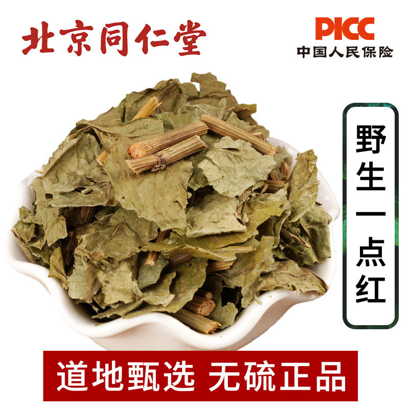一点红中草药500g云南野生图片