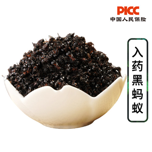 黑蚂蚁中药材100g野生正品