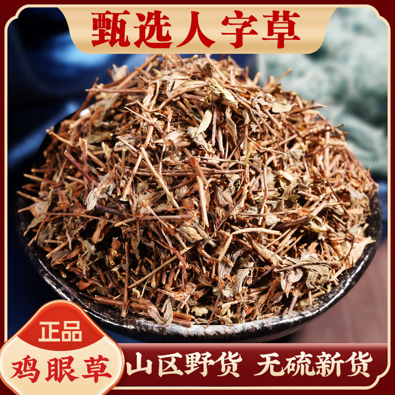 野生新货人字草中药材500/250g 鸡眼草 夜关门草药 老鸦须 红骨丹