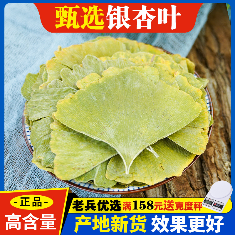 银杏叶中药材500g新货银杏叶粉白果叶银杏叶飞蛾叶白果树叶泡茶