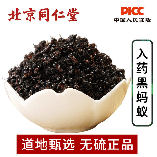 黑蚂蚁中药材100g野生正品