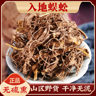 野生新货 入地蜈蚣中药材500/250g正品 蜈蚣草带根 倒麒麟 水蜈蚣