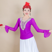 维族舞蹈成人款 小衫 上衣 新疆舞蹈服民族风网纱喇叭袖 天山美翼新款