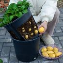 优质 土豆种植盆生姜蔬菜种植塑料花盆盆栽家庭阳台庭院种植加厚