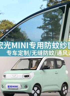 五菱宏光MINIEV车窗防蚊网车载蚊帐车用防虫纱网mini汽车防蚊纱窗