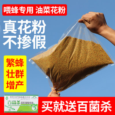 喂蜂花粉油菜杂粉颗粒养蜜蜂饲料