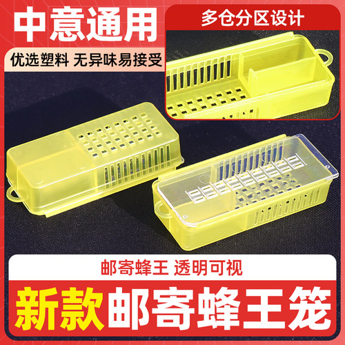 塑料蜜蜂王笼透明邮寄运输关王盒