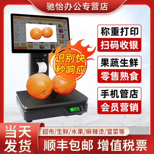 驰怡双屏15.6餐饮零售收银机