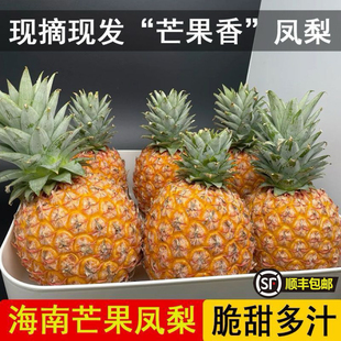 正宗海南芒果凤梨树上熟台农23号新鲜菠萝净重顺丰包邮大果