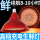 可充电款 市场停电猪肉灯 LED水果灯生鲜灯夜市摆摊专用熟食卤菜灯