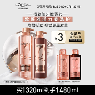 欧莱雅活力姜洗发水护发素生姜洗护套装去油强韧发丝洗发露