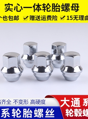 大通轮胎螺丝EUNIQ6 5 T60 T70 G20 G10G50 D60 D90 RG10轮毂螺母
