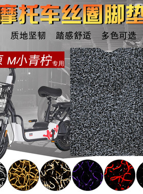 适用于绿源M小青柠SD-FBO2电动车脚垫电瓶踏板车TDT1818Z脚踩踏皮