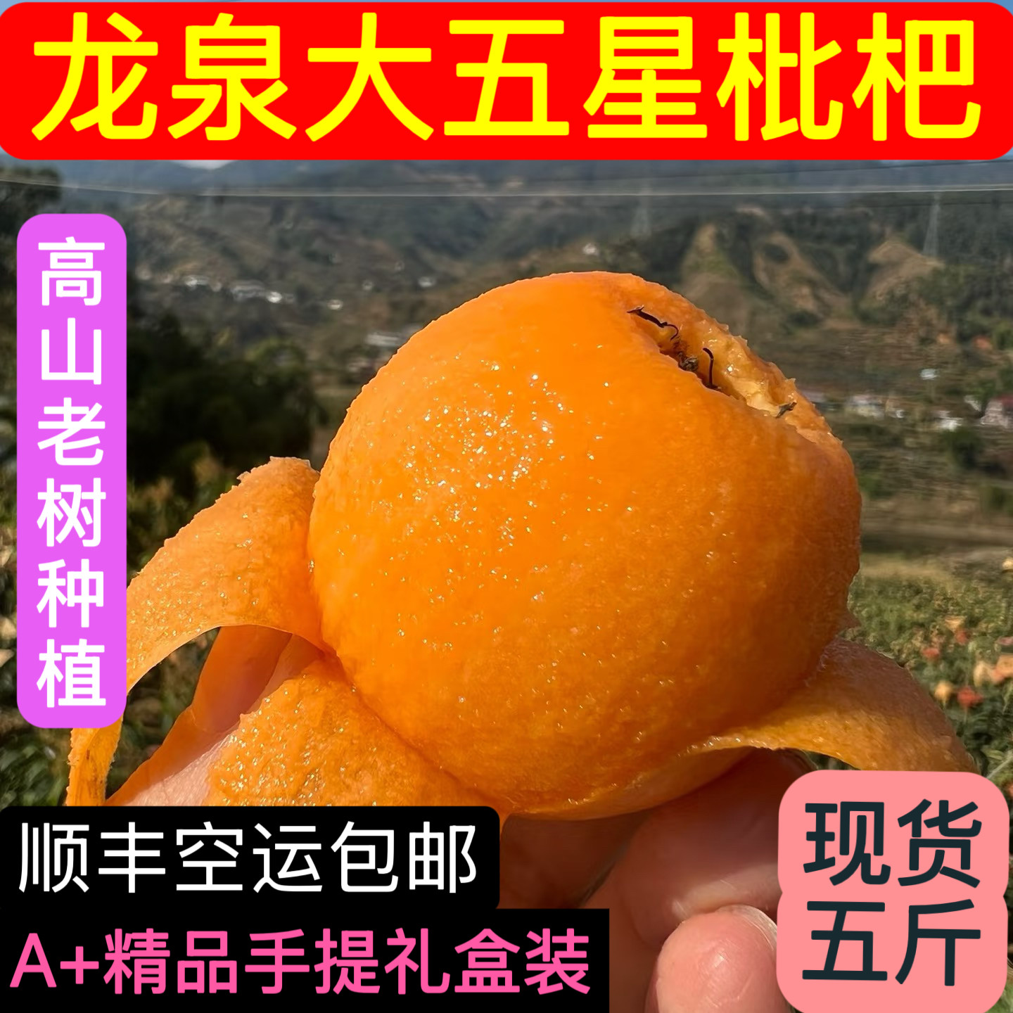成都龙泉大五星枇杷高山老树枇杷绿色生态种植特级大果礼盒装