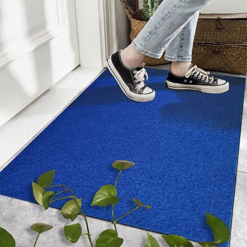 地垫入户门高级感蓝色地毯吸水防滑脚垫加厚风水地垫门外家用定制
