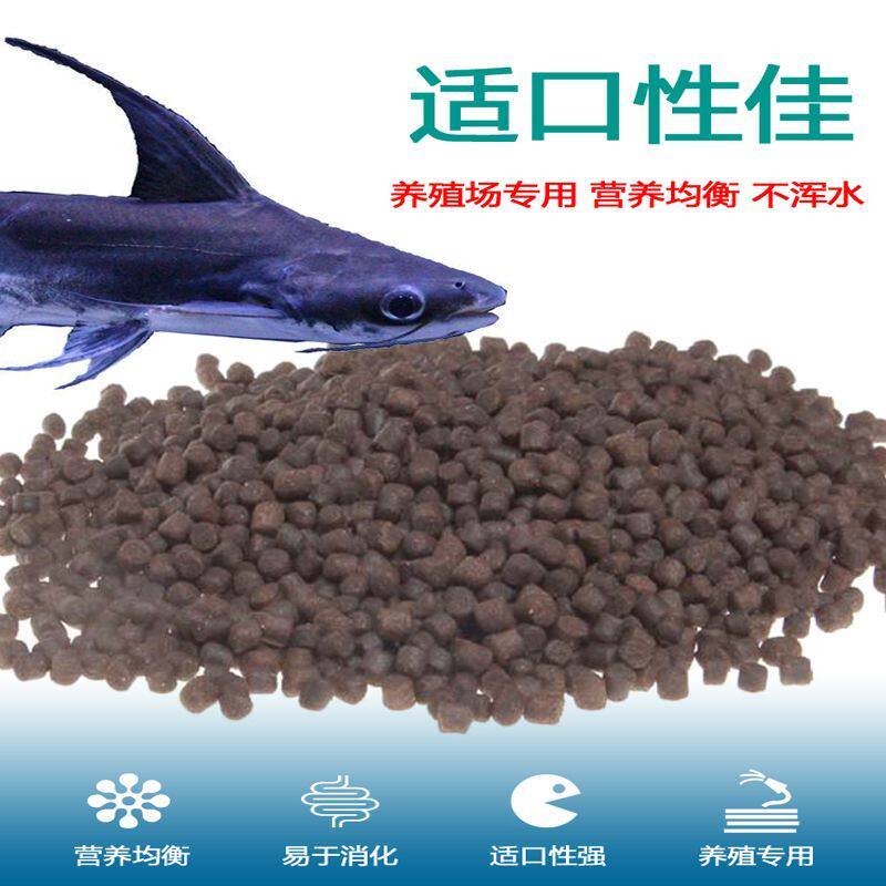 蓝鲨鱼饲料虎头鲨成吉思汗鲨鱼饲料淡水鲨鱼沉底粮异型鱼下沉鱼食