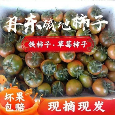 丹东东港特产油柿子柿灯笼果草莓