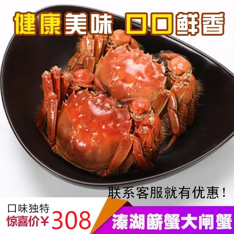 公母溱湖簖蟹大闸蟹鲜活水产包邮