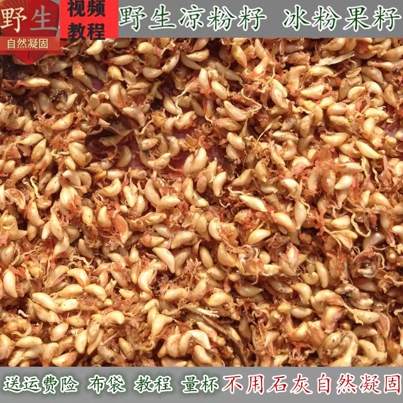 野生凉粉籽手搓冰粉籽p爱玉批 发商用薜荔木莲木瓜500g不加石灰
