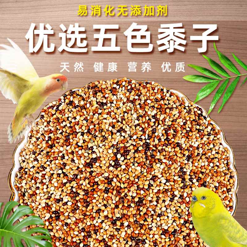新优质五色黍子鹦鹉饲料鸟食带壳小米虎皮牡丹玄凤鸟粮食5斤