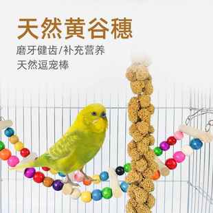 鹦鹉天然谷穗小米带壳黄谷子玄凤虎皮鸟粮鸟食饲料文鸟珍珠鸟零食