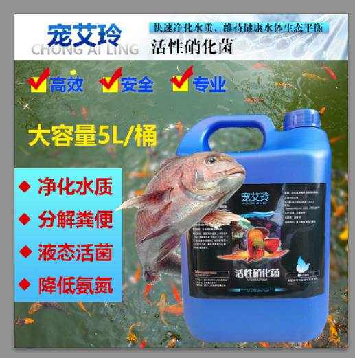 包邮硝化细菌鱼池鱼缸大瓶淡水养硝化细菌