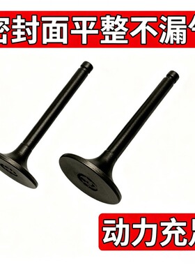 摩托踏板车GY6-125 豪迈金浪光阳助力车缸头进排气门