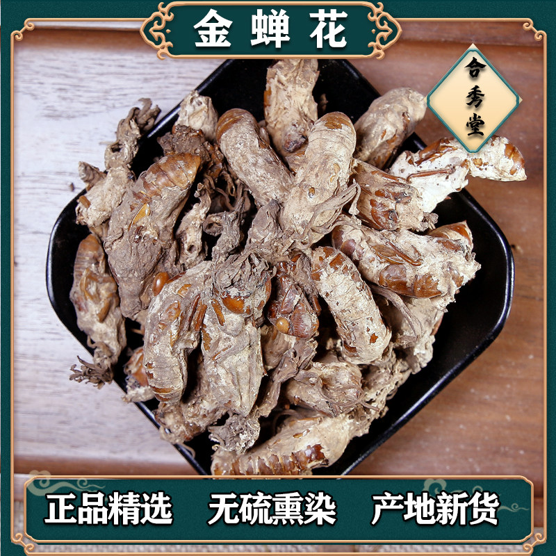 中草药金蝉花金蚕花蝉花知了