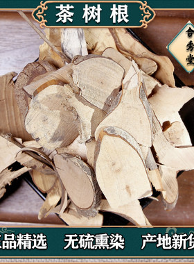 中草药茶树根中药材老茶树根