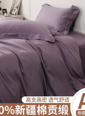 a类酒店风长绒棉被套单件紫色纯棉贡缎被罩可定制180x200x230被单