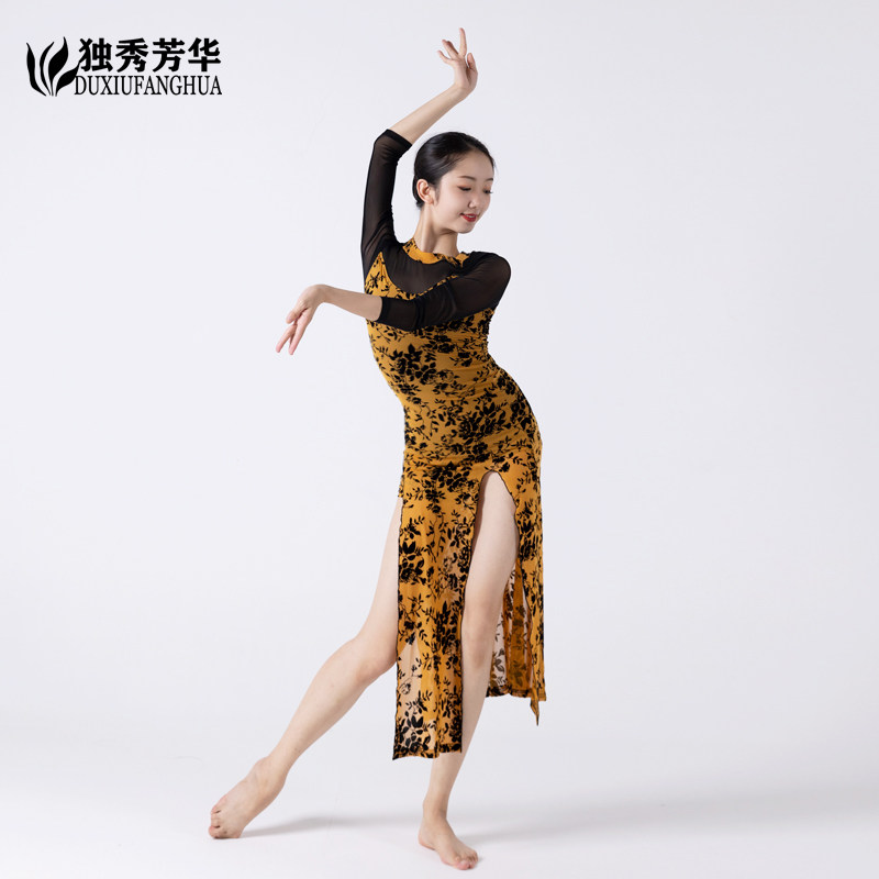 舞蹈服性感双开衩网纱植绒