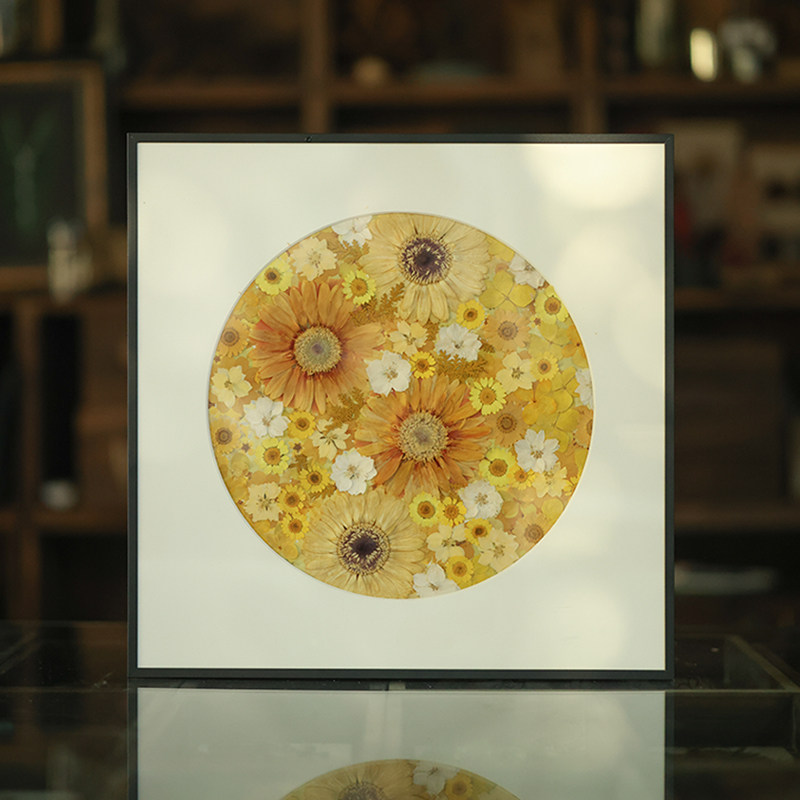 种籽造物03花好月圆之夏暖植物标本画手工押花画装饰画挂画组画