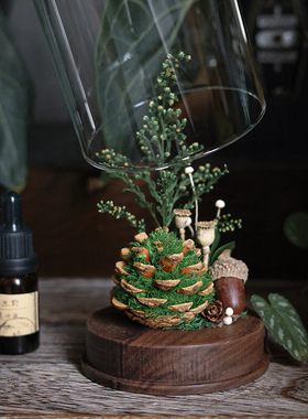 种籽造物®青松小森林香薰玻璃罩植物礼盒室内桌面扩香器摆件