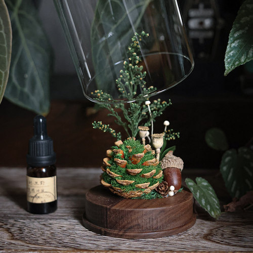 种籽造物青松生活每一天香薰礼盒