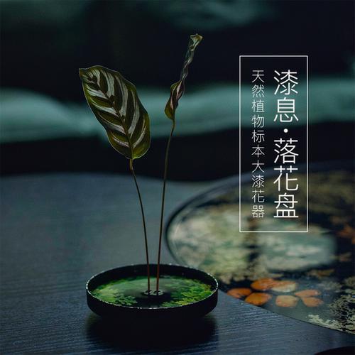 种籽造物落花盘天然植物标本大漆插花器家居装饰花器干泡壶承