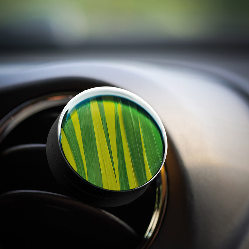 种籽造物0315森呼吸夏暖 植物标本车载香薰出风口扩香器摆件礼物