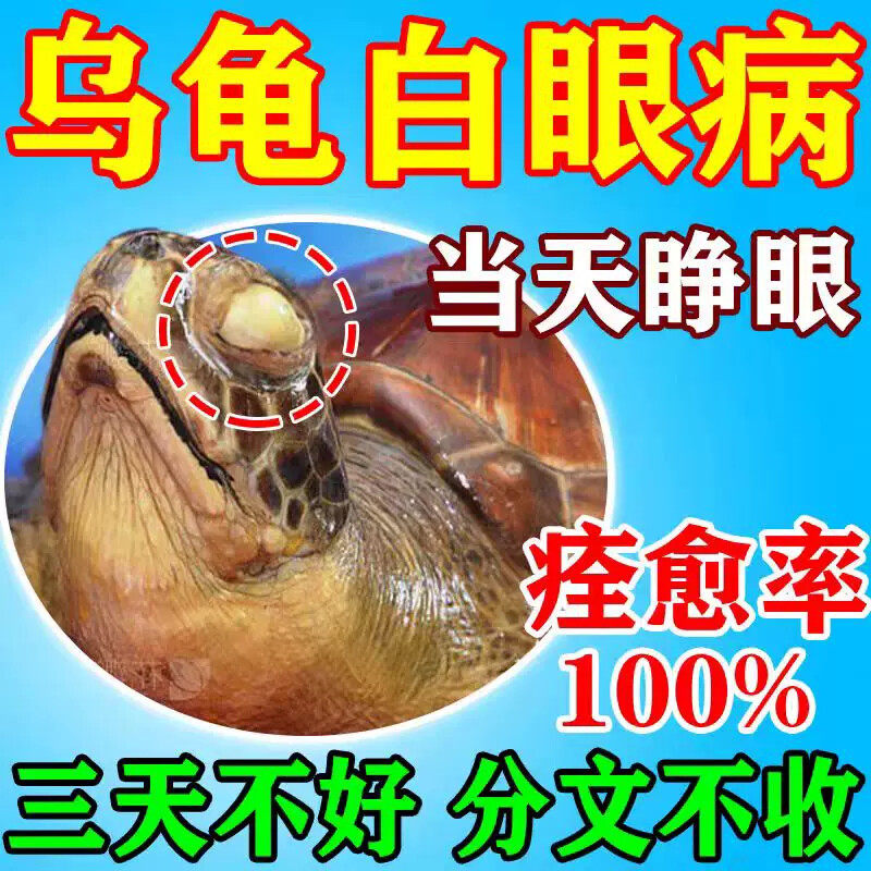 乌龟白眼病专用药草龟巴西龟眼睛睁不开红肿细菌感染特效药眼药水