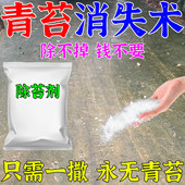 青苔清除剂水泥地面墙砖鱼缸池塘去刷清理绿藻克星灭除青苔专用药