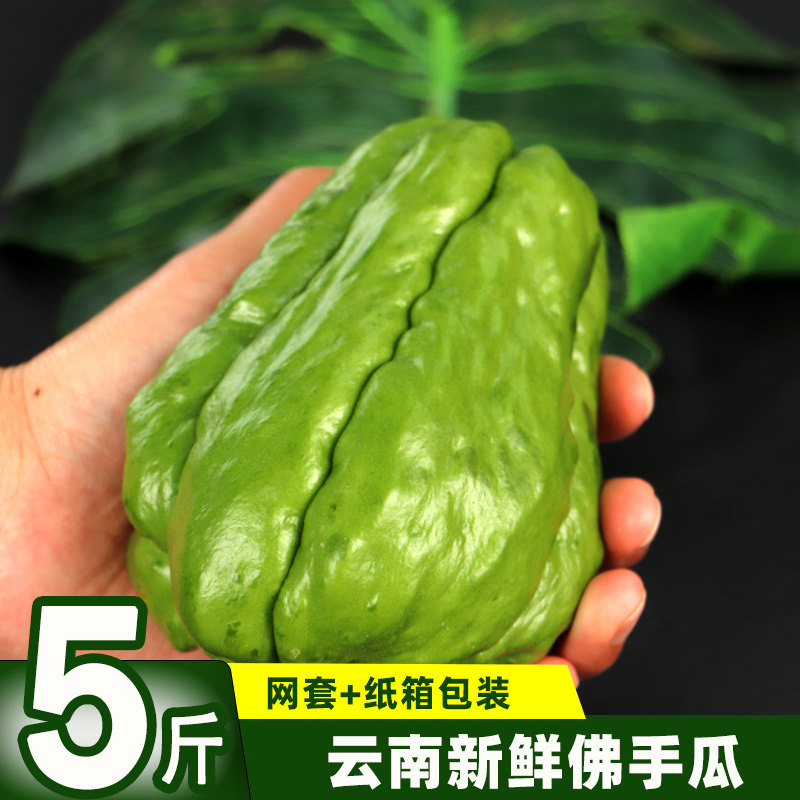 佛手瓜新鲜农家窝瓜当季丰收洋瓜寿瓜蔬菜福寿丝瓜批发现摘脆嫩,水产肉类/新鲜蔬果/熟食,佛手瓜,淘宝优惠券,粉丝福利购,淘宝优惠卷