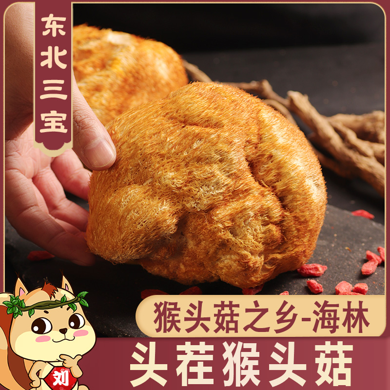 大个真正头茬海林猴头