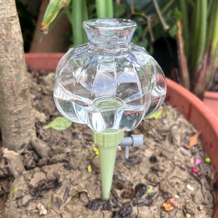 室内庭院植物懒人滴灌器可调节滴灌系统设备透明灯笼自动渗水器