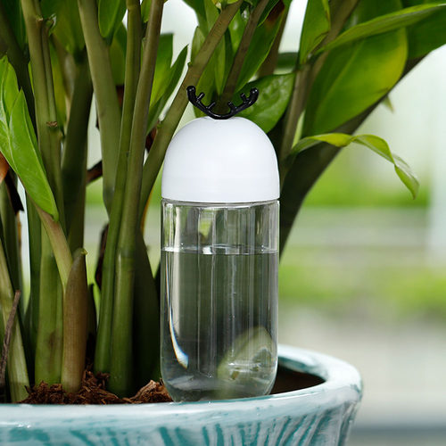 懒人自动浇水器施肥器