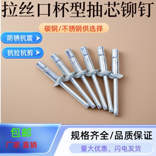 高强度抽芯铆钉口杯型拉铆钉拉丝铆钉机柜拉铆钉碳钢半圆头薄板