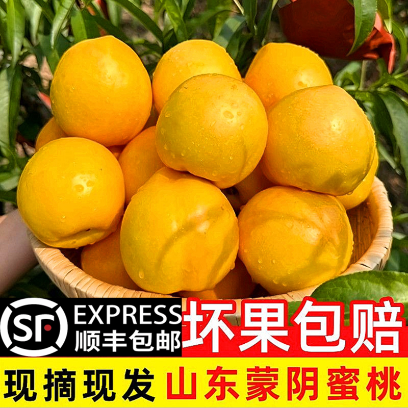 顺丰包邮蒙阴黄油桃当季现摘