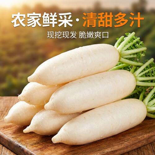 湖北农家现挖白萝卜脆甜生吃