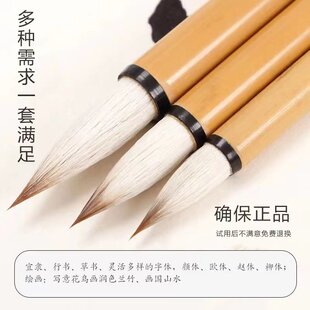 正品毛笔狼毫兼毫毛笔书法国画专用羊毫大中小楷初学者套装不掉毛