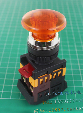 进口 正品 IEK AELA-22 带灯按钮 自复位 蘑菇头 橙色 22MM