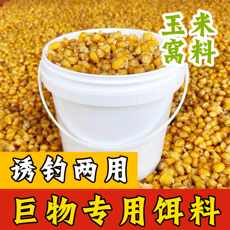 发酵老坛玉米打窝料鱼饵野钓江河水库鲫鲤草鱼饵野钓大物水库重窝,户外/登山/野营/旅行用品,台钓饵,淘宝优惠券,粉丝福利购,淘宝优惠卷